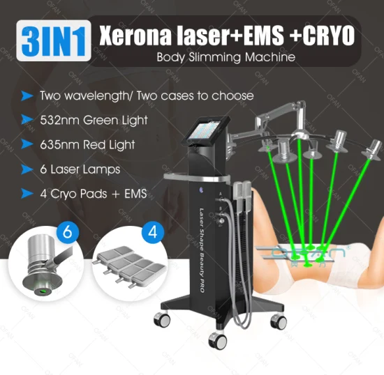 Équipement de salon de beauté Ofan amincissant la congélation des graisses meilleur prix Criolipolisis Machine cryolipolyse L 532nm Laser vert